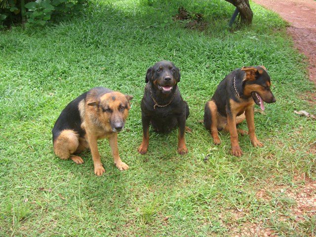 Familienfoto